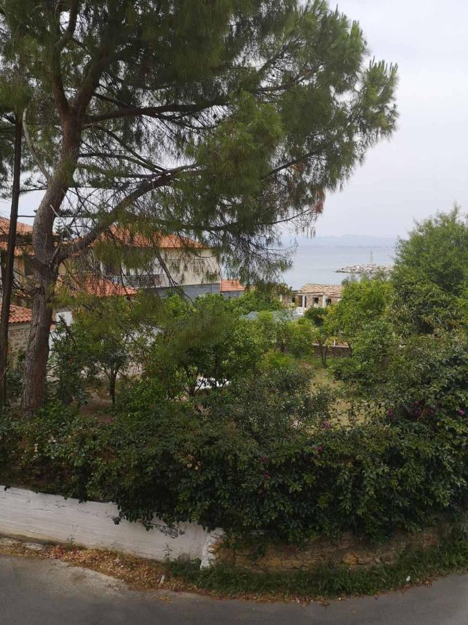 Panos & Antzy Apartments Kalamata Dış mekan fotoğraf
